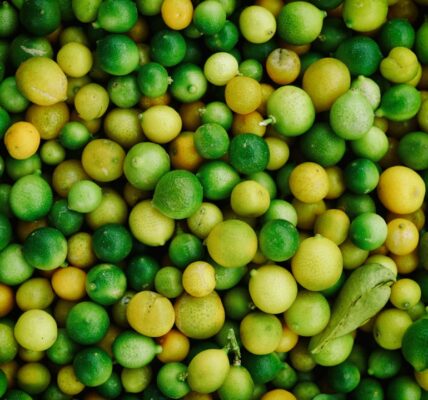 Photo Fruit fermentation