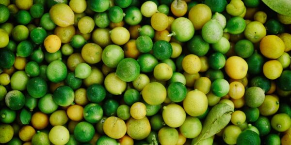 Photo Fruit fermentation
