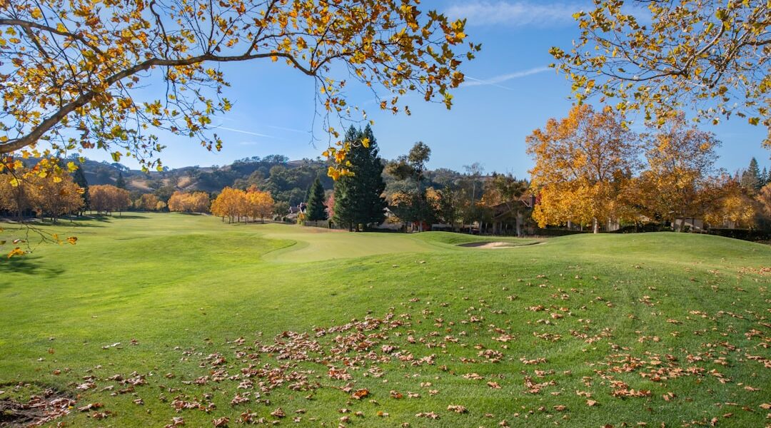 Photo alternative flours