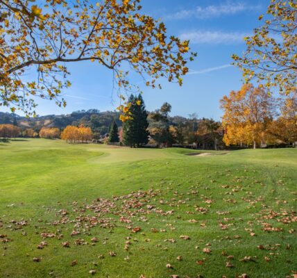 Tradycyjne metody wędzenia: smak tradycji w twoim domu 21 Photo wędzenie