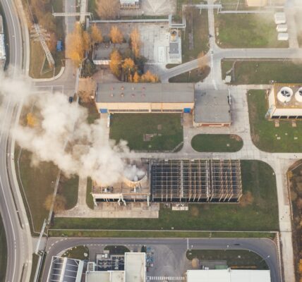 Rynek carbon credits: perspektywy i wyzwania 4 Photo carbon credits