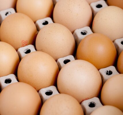 Wegańskie jajka: nowa alternatywa dla wegetarian 1 Photo Vegan eggs