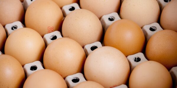 Wegańskie jajka: nowa alternatywa dla wegetarian 23 Photo Vegan eggs