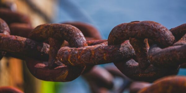 Blockchain w zarządzaniu łańcuchem dostaw 24 Photo Blockchain supply chain management