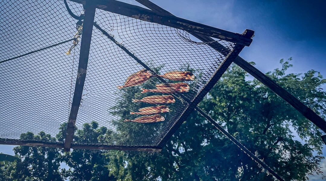 Tradycyjne metody suszenia: skarby polskiej kuchni 1 Photo drying methods