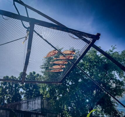 Tradycyjne metody suszenia: skarby polskiej kuchni 1 Photo drying methods