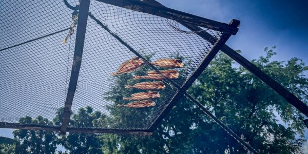 Tradycyjne metody suszenia: skarby polskiej kuchni 23 Photo drying methods