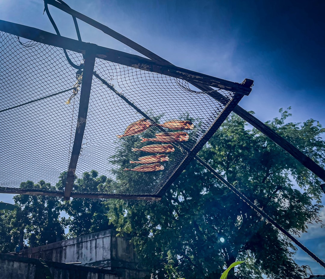 Tradycyjne metody suszenia: skarby polskiej kuchni 5 Photo drying methods